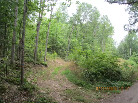 tbd Black Bear Ln #8, Crimora, VA 24431
