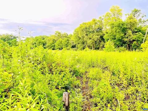 lot46 A Rockfish Rd, Waynesboro, VA 22980