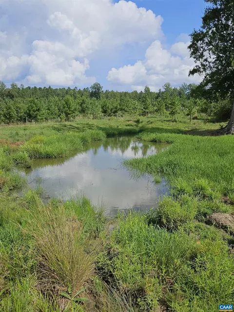 3210 Trents Mill Rd, Dillwyn, VA 23936 photo 22