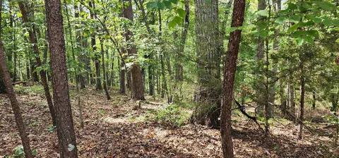 lot251 Pleasant Ln, Mcgaheysville, VA 22840