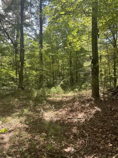 0 Sarah Ln, Basye, VA 22810 photo 3