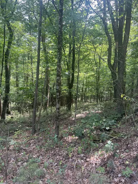 0 Sarah Ln, Basye, VA 22810