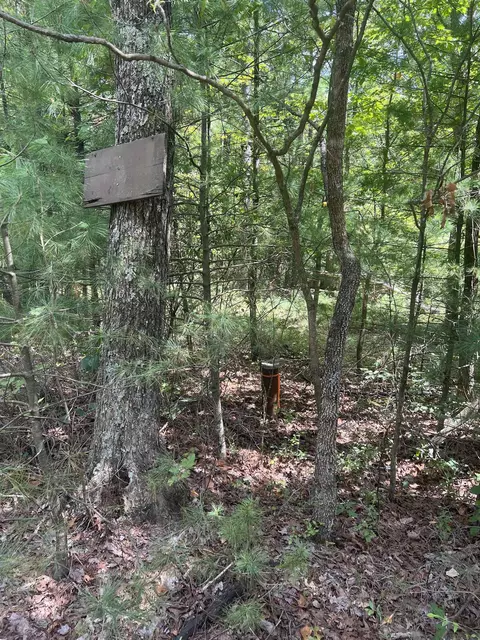 0 Sarah Ln, Basye, VA 22810 photo 2