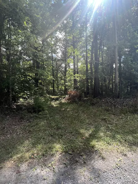 0 Sarah Ln, Basye, VA 22810 photo 5