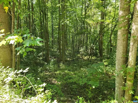 0 Wilderness Dr, Stanardsville, VA 22973