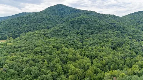 48 48 Acres Blackwells Hollow Rd, Crozet, VA 22932