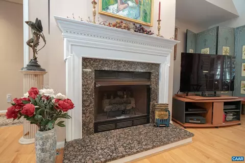 9 Hawks Pl, Palmyra, VA 22963 photo 10