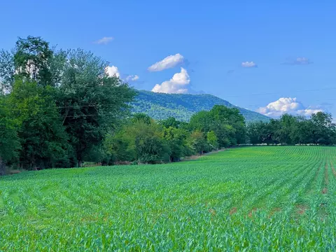 13073 Turleytown Rd, Linville, VA 22834