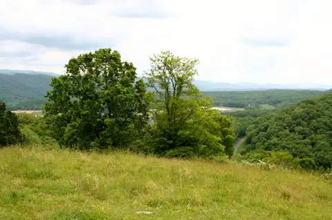 Seldom Seen Rd, Doe Hill, VA 24433 photo 21