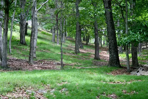 Seldom Seen Rd, Doe Hill, VA 24433 photo 10