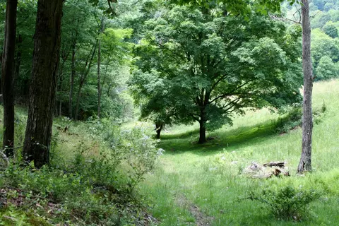 Seldom Seen Rd, Doe Hill, VA 24433 photo 9