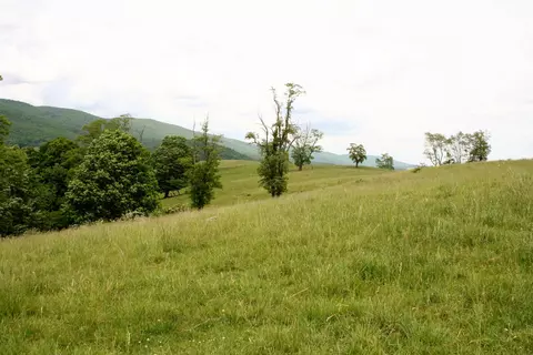 Seldom Seen Rd, Doe Hill, VA 24433 photo 22