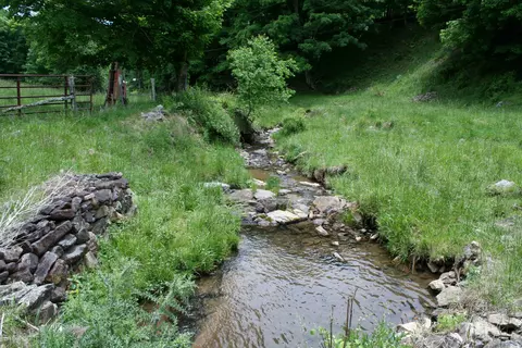 Seldom Seen Rd, Doe Hill, VA 24433 photo 2