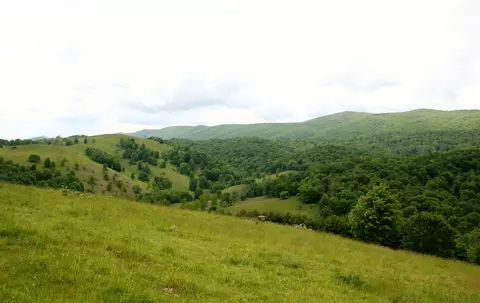 Seldom Seen Rd, Doe Hill, VA 24433 photo 27