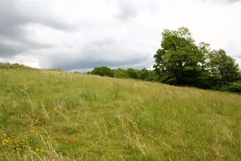 Seldom Seen Rd, Doe Hill, VA 24433 photo 30