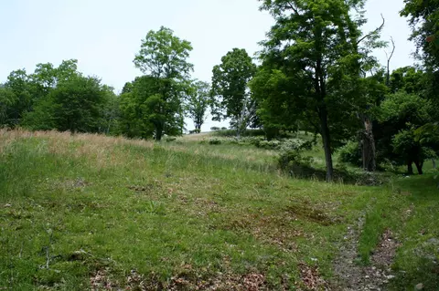 Seldom Seen Rd, Doe Hill, VA 24433 photo 5