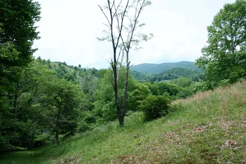 Seldom Seen Rd, Doe Hill, VA 24433 photo 7