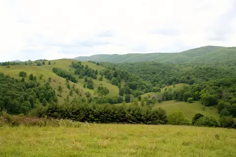 Seldom Seen Rd, Doe Hill, VA 24433 photo 20