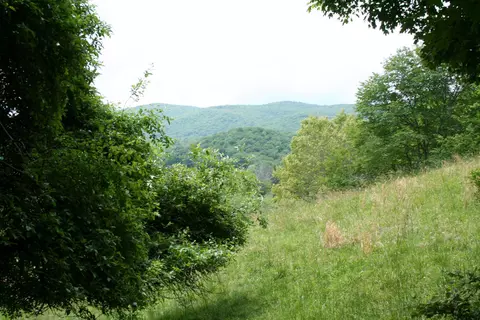 Seldom Seen Rd, Doe Hill, VA 24433 photo 8
