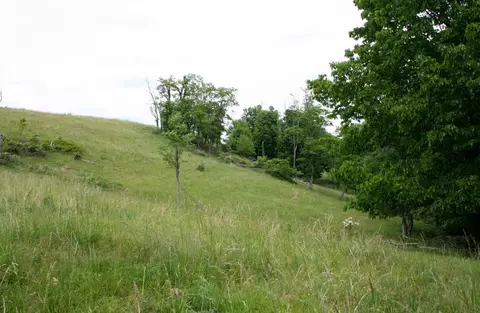 Seldom Seen Rd, Doe Hill, VA 24433 photo 15