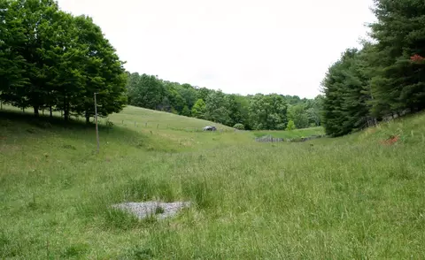 Seldom Seen Rd, Doe Hill, VA 24433 photo 3