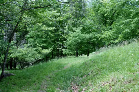 Seldom Seen Rd, Doe Hill, VA 24433 photo 4