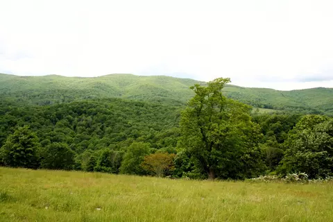 Seldom Seen Rd, Doe Hill, VA 24433 photo 26