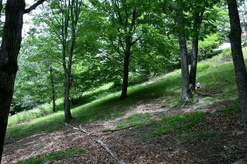 Seldom Seen Rd, Doe Hill, VA 24433 photo 13