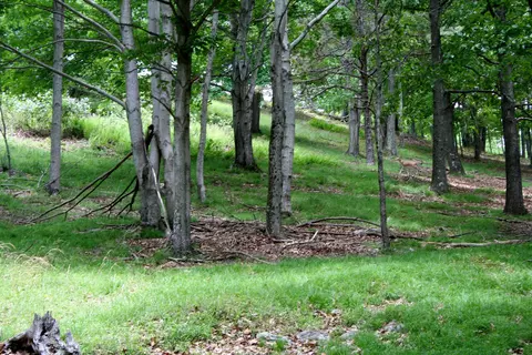 Seldom Seen Rd, Doe Hill, VA 24433 photo 11