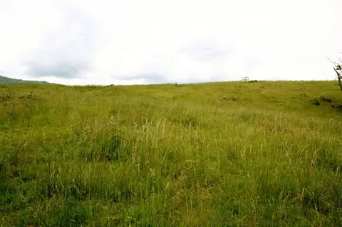 Seldom Seen Rd, Doe Hill, VA 24433 photo 16
