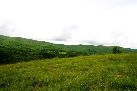 Seldom Seen Rd, Doe Hill, VA 24433 photo 19