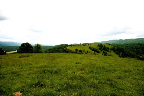 Seldom Seen Rd, Doe Hill, VA 24433 photo 25