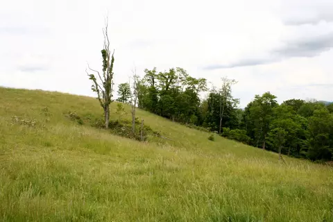 Seldom Seen Rd, Doe Hill, VA 24433 photo 18