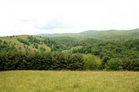 Seldom Seen Rd, Doe Hill, VA 24433 photo 29