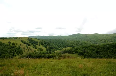 Seldom Seen Rd, Doe Hill, VA 24433