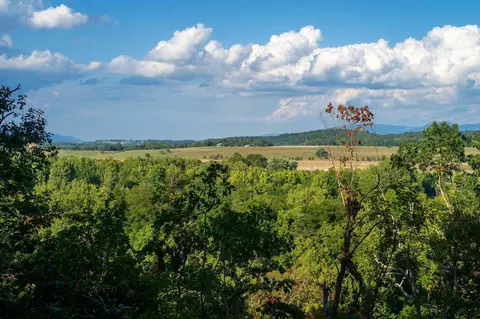 lot2 Shuler Ln, Stanley, VA 22851 photo 4