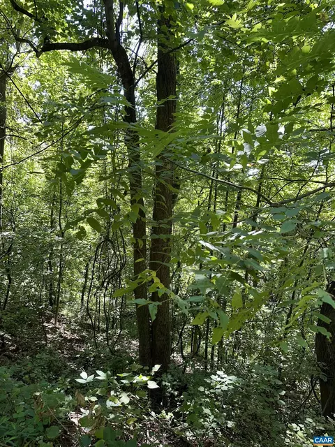 6 Old Mountain Rd, Stanardsville, VA 22973 photo 3