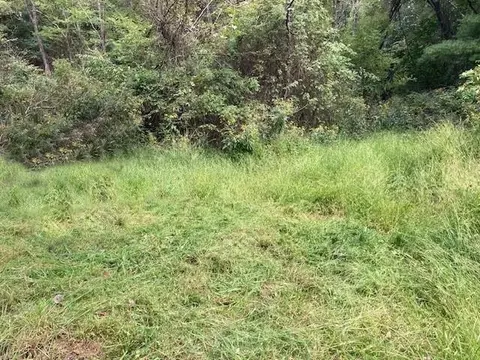 0 Jerome Rd, Mount Jackson, VA 22842 photo 2