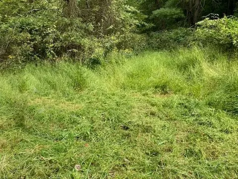 0 Jerome Rd, Mount Jackson, VA 22842 photo 3
