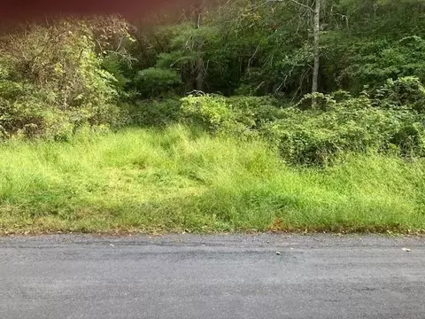 0 Jerome Rd, Mount Jackson, VA 22842