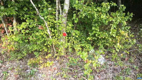 0 Glade Rd, Shipman, VA 22971 photo 28