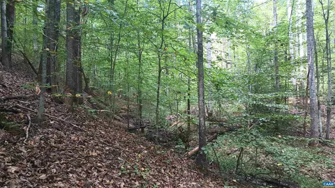 0 Piney Mountain Ln, Shipman, VA 22971 photo 41
