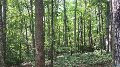 0 Piney Mountain Ln, Shipman, VA 22971 photo 22