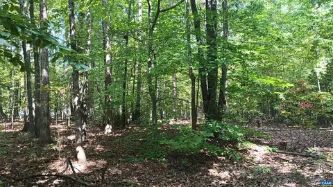 0 Piney Mountain Ln, Shipman, VA 22971 photo 5