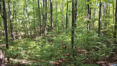 0 Piney Mountain Ln, Shipman, VA 22971 photo 11