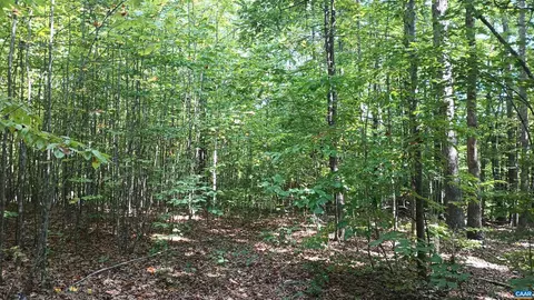 0 Piney Mountain Ln, Shipman, VA 22971 photo 7