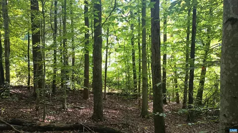 0 Piney Mountain Ln, Shipman, VA 22971 photo 36