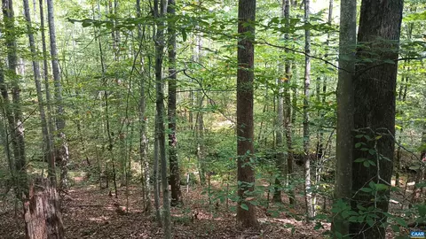 0 Piney Mountain Ln, Shipman, VA 22971 photo 28