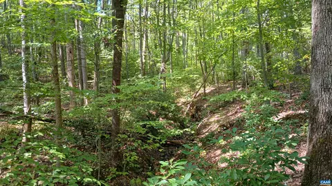 0 Piney Mountain Ln, Shipman, VA 22971 photo 18