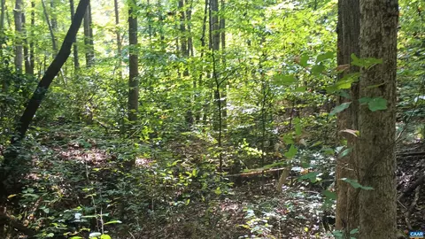 0 Piney Mountain Ln, Shipman, VA 22971 photo 14